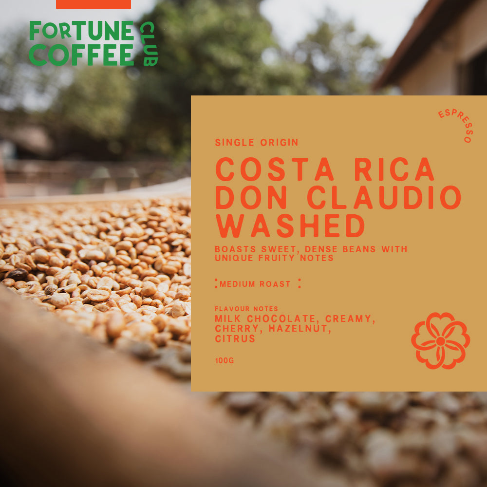 Fortune Discovery Pack / 100g