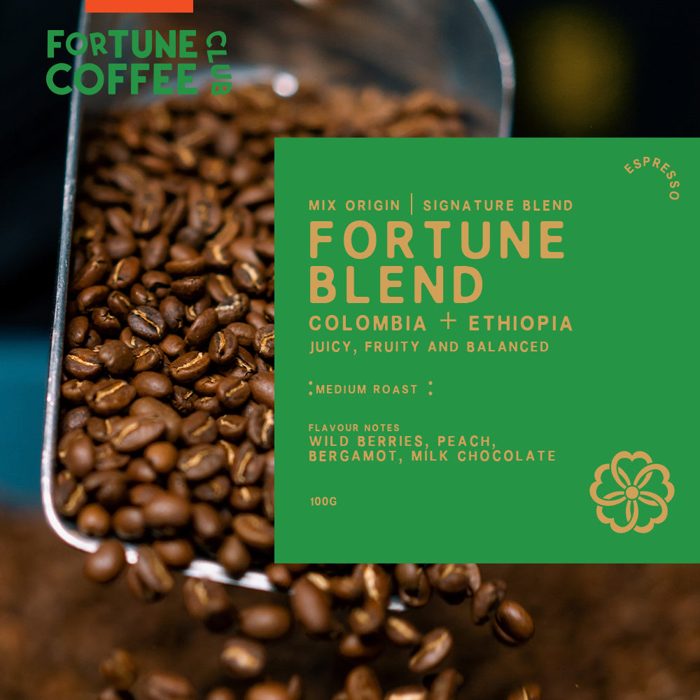 Fortune Discovery Pack / 100g