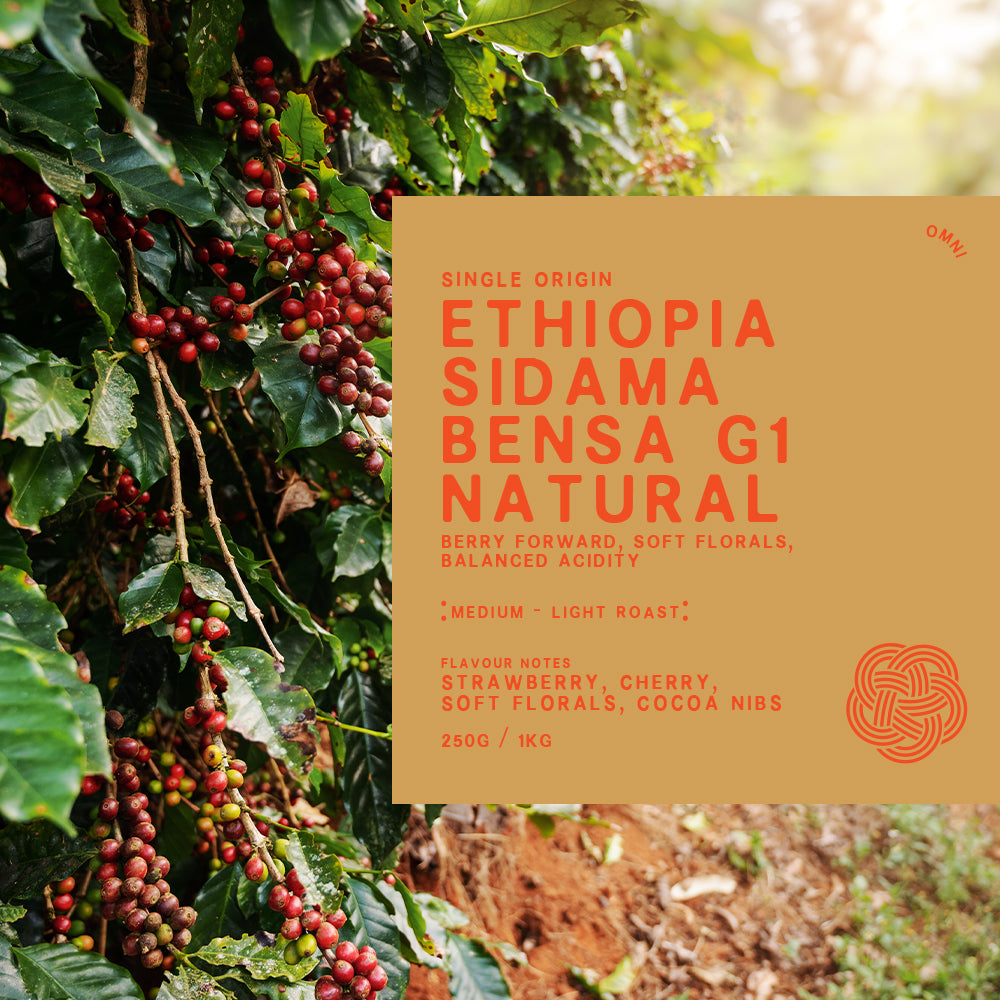 Single Origin Ethiopia Sidama Bensa G1 Natural