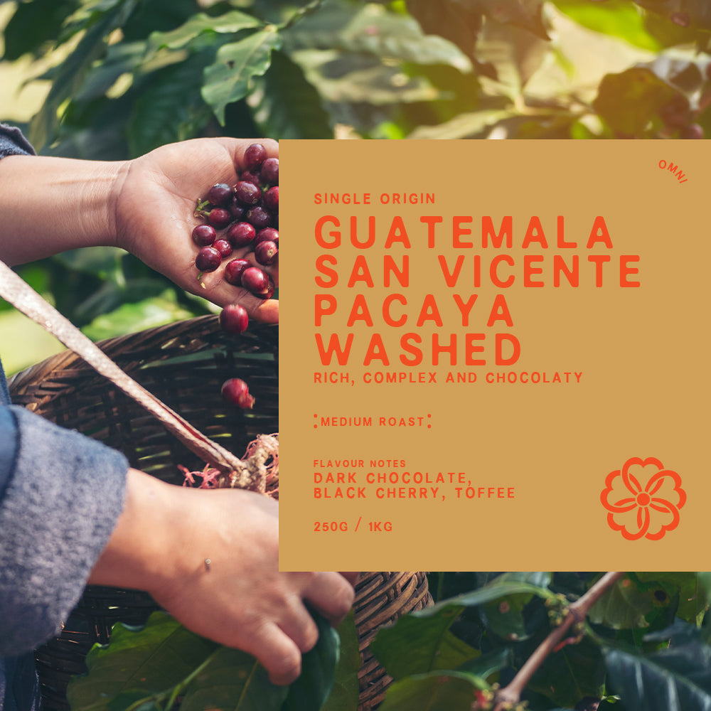 Single Origin Guatemala San Vicente Pacaya Washed