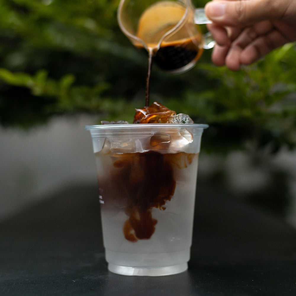 Single Origin Guatemala San Vicente Pacaya Washed