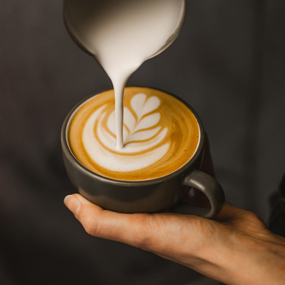 Single Origin Guatemala San Vicente Pacaya Washed