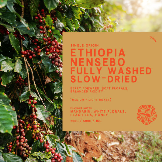 Single Origin Ethiopia Nensebo