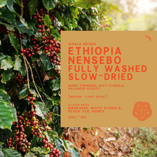 Single Origin Ethiopia Nensebo
