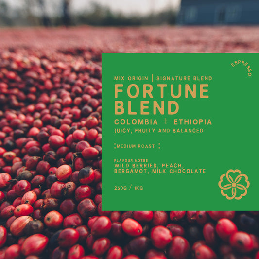 Signature Fortune Blend: Colombia + Ethiopia (Seasonal)