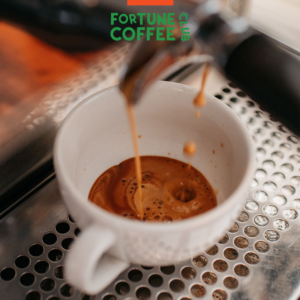 Signature Billionaire Blend: Indo + Brazil (Seasonal)