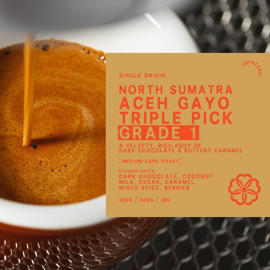 Single Origin North Sumatra Aceh Gayo (Grade 1)