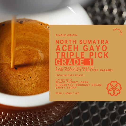 Single Origin North Sumatra Aceh Gayo