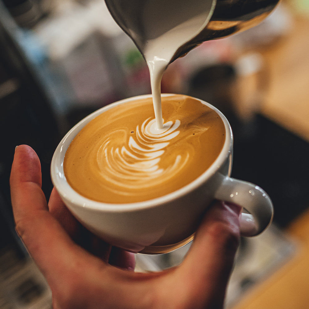 Single Origin North Sumatra Aceh Gayo